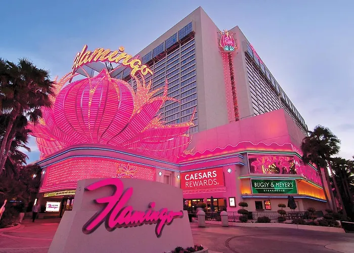 Explore Global Adventures with EagleVision USA